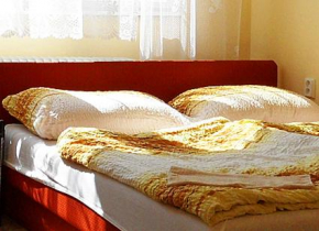Отель Ubytování ve Vinařství Michna  Велке Павловице